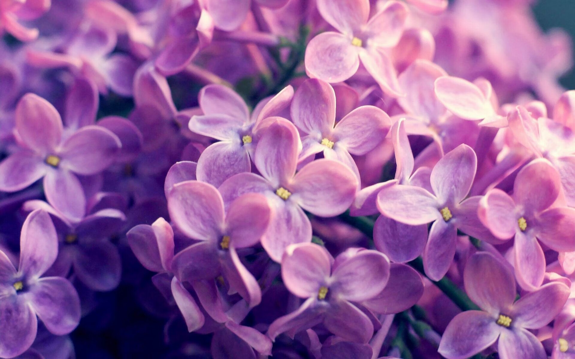 天秤上的沙粒，杜兰特在历史排名争夺战中的一役