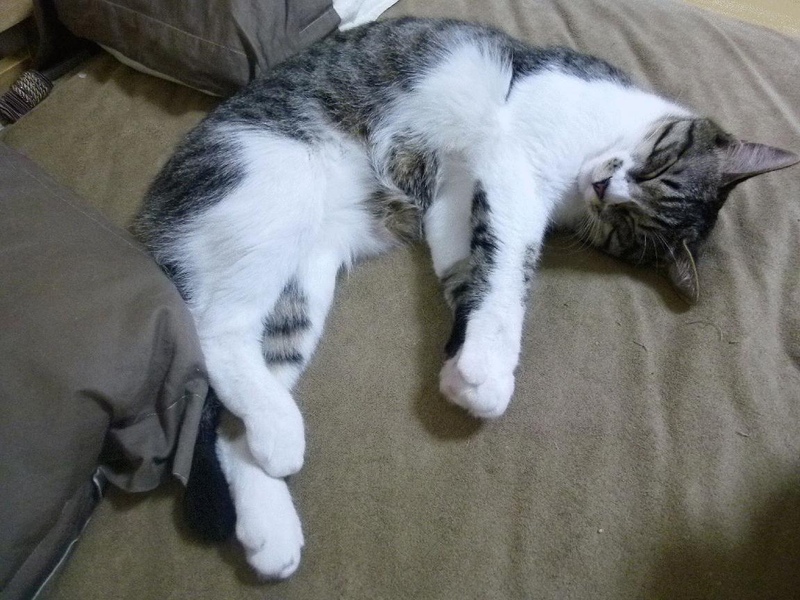 跨越万里的足球诗篇，本泽马导演，哥伦比亚炮火在尼斯夜空写下唯一胜利