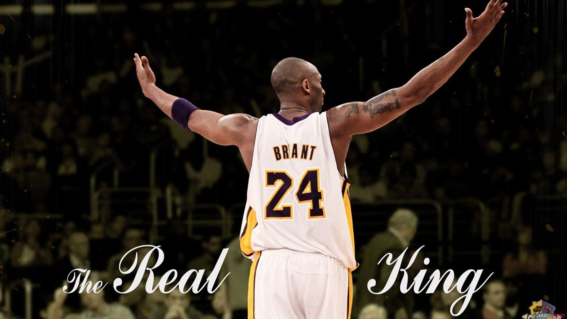 绿茵刺客现身赛道,弗拉霍维奇如何在F1争冠夜抢走所有镜头