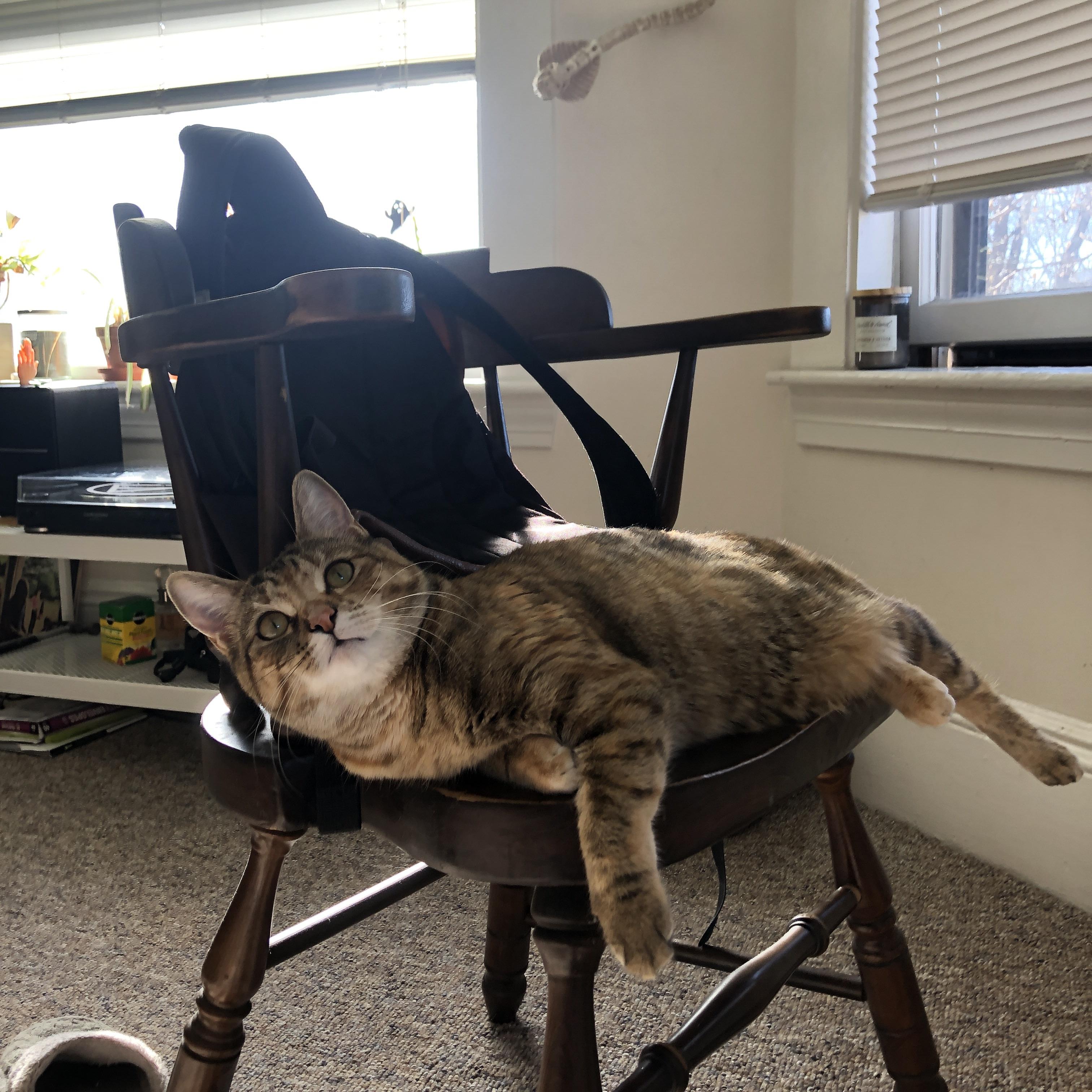 最后一秒出手前，伦纳德已经跑了七千步