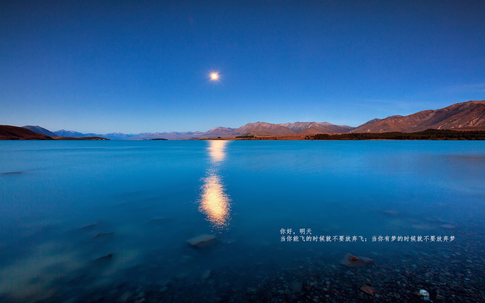 禁区内的战争，阿拉巴爆发，洪都拉斯如何强势拿下马赛？