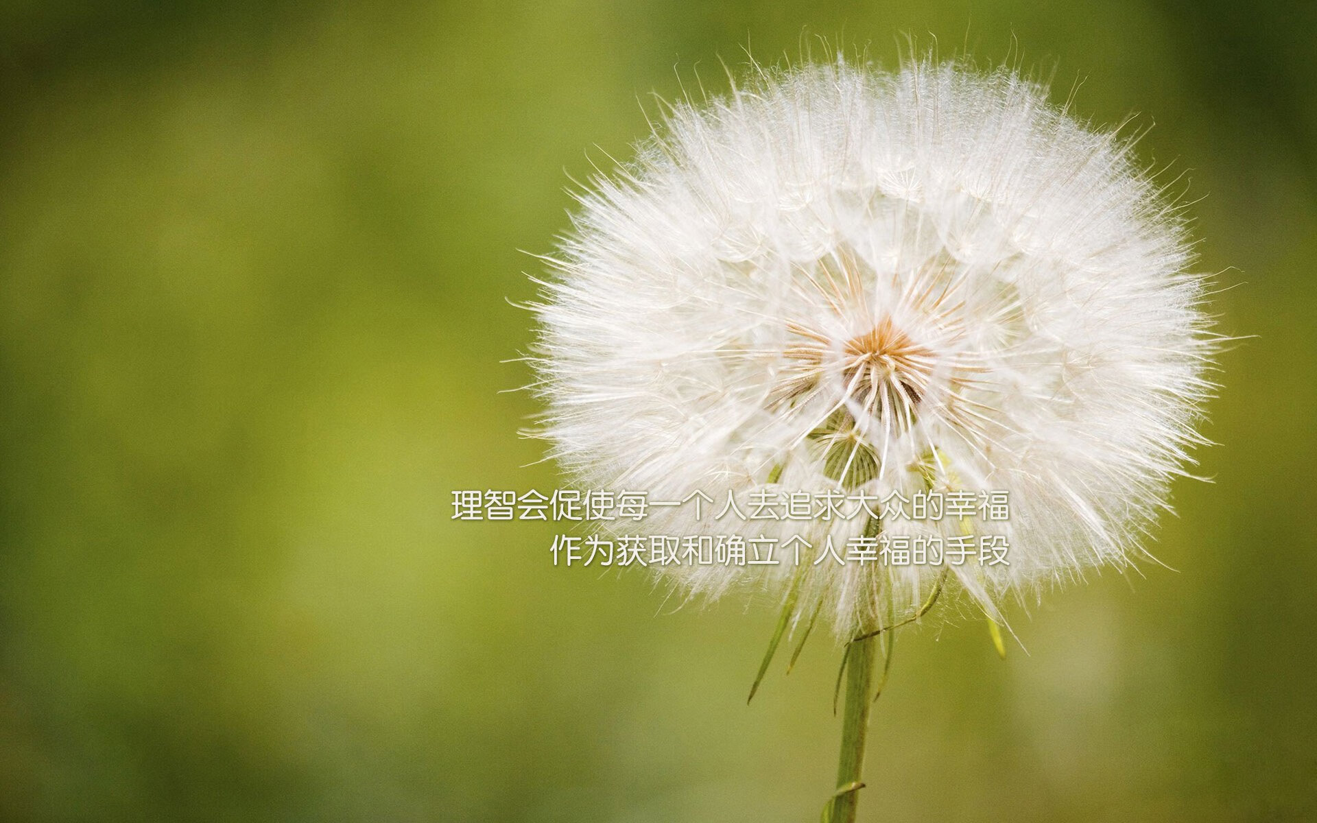 （三个选项供您选择）