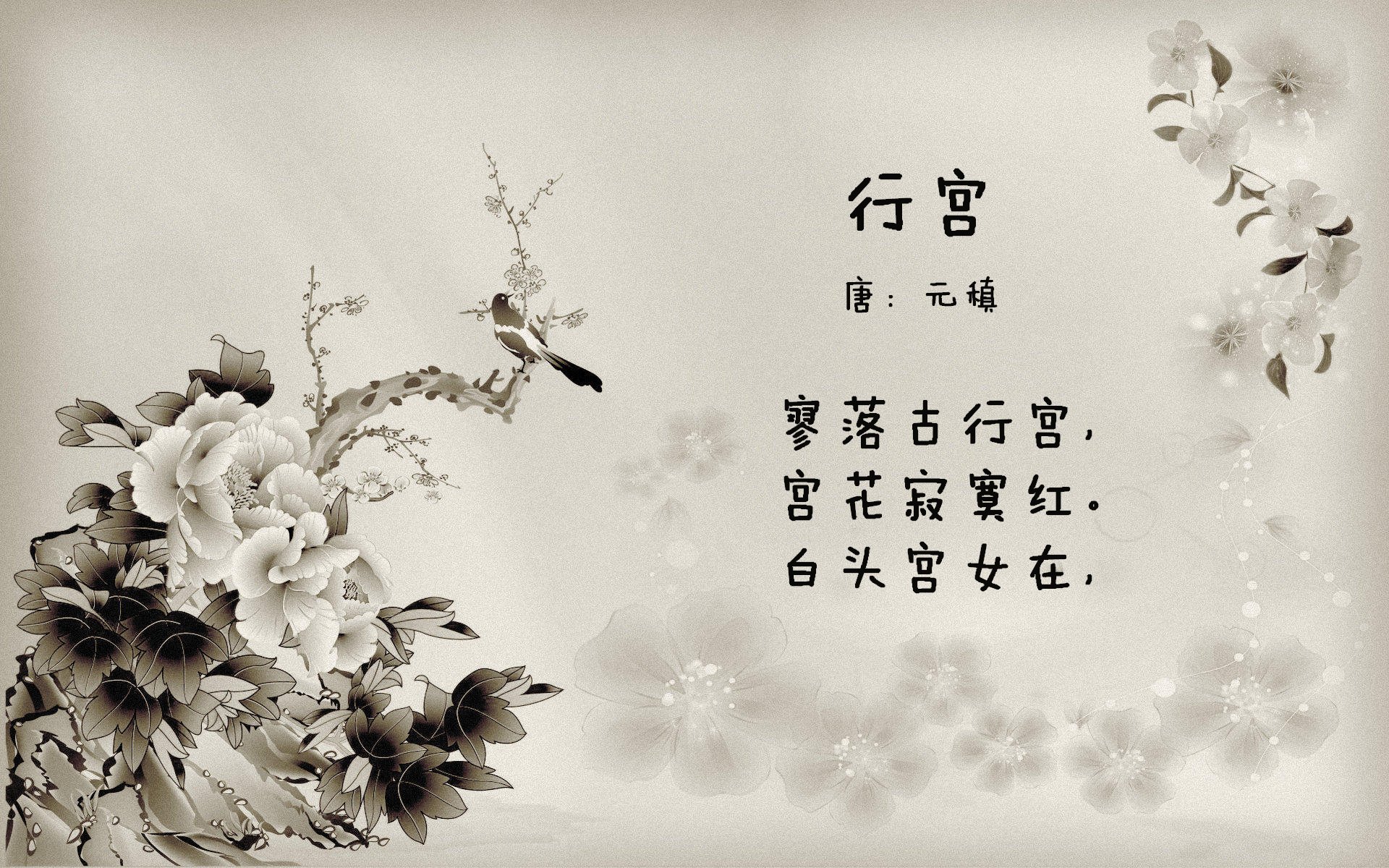 地平线上唯一的交锋，当北欧冰刃划破北非热土，罗德里戈定义2026的不可复制